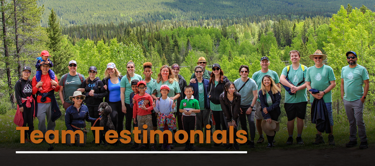 team_testimonials