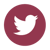 twitter-icon